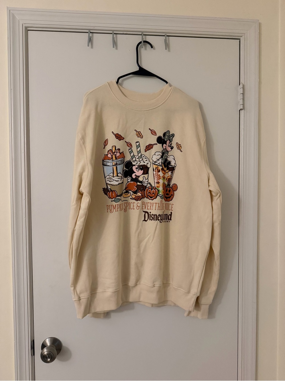 NWOT - Disneyland Pumpkin Spice Crewneck - Size L